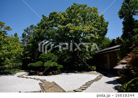 平成庭園 平成庭園 16638344