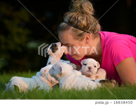 woman and litter of puppies 16638450