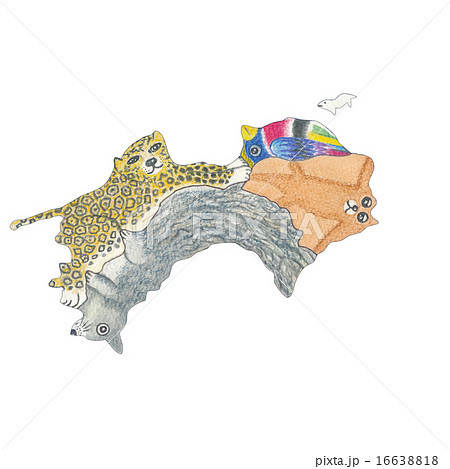四国の動物地図(色鉛筆版) 四国の動物地図(色鉛筆版) 16638818