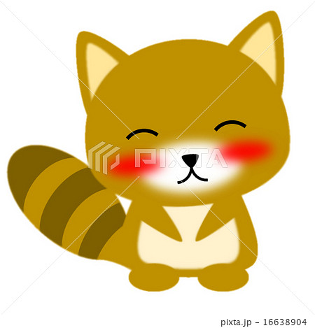 満面の笑顔で微笑むたぬき 16638904