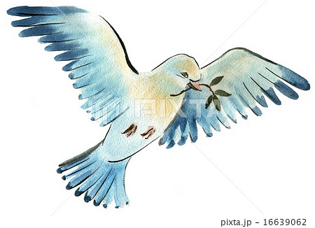 Watercolor illustration of a bird dove 16639062