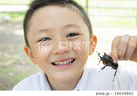 捕まえた カブトムシ 昆虫採集イメージの写真素材