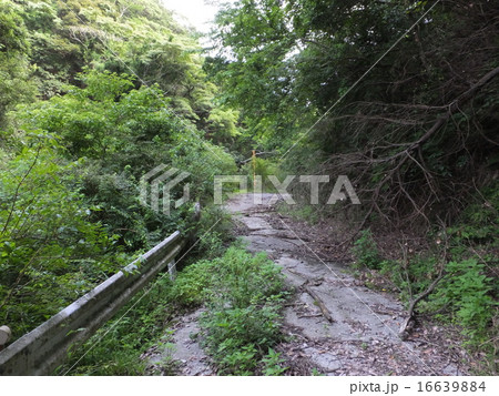 【千葉県】廃国道410号線 【千葉県】廃国道410号線 16639884