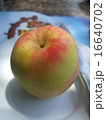 リンゴ 16640702
