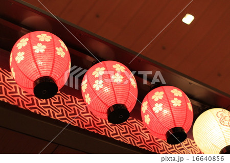 国立劇場のちょうちん 国立劇場のちょうちん 16640856