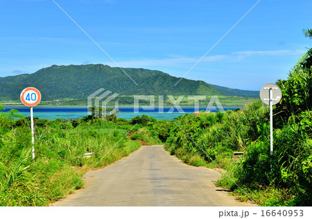 沖縄　小浜島の道がある風景 16640953
