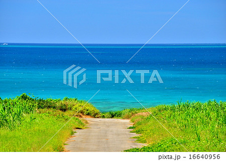 沖縄　小浜島の道がある風景 16640956
