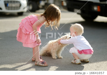 Two girls met a puppy Two girls met a puppy 16641057