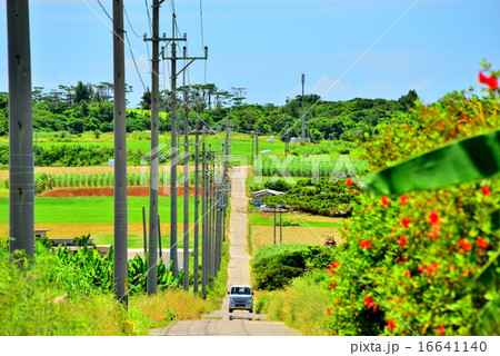 沖縄 離島 小浜島の風景写真 沖縄 離島 小浜島の風景写真 16641140