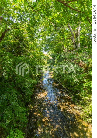 鎌倉 滑川 鎌倉 滑川 16641644