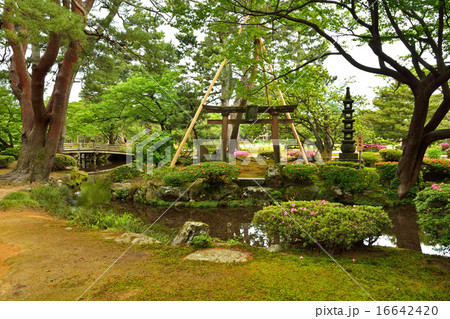 金沢散歩:兼六園 鶺鴒島 金沢散歩:兼六園 鶺鴒島 16642420