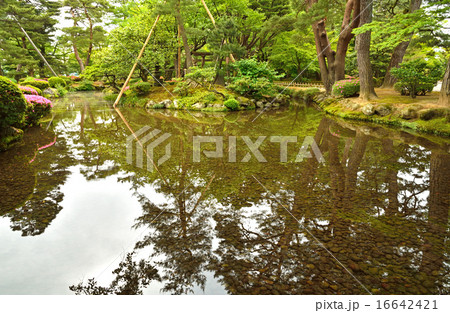 金沢散歩:兼六園 鶺鴒島と辰巳用水 金沢散歩:兼六園 鶺鴒島と辰巳用水 16642421