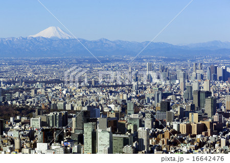 東京スカイツリー 展望回廊 地上450mから望む美しい富士山と東京街並の写真素材