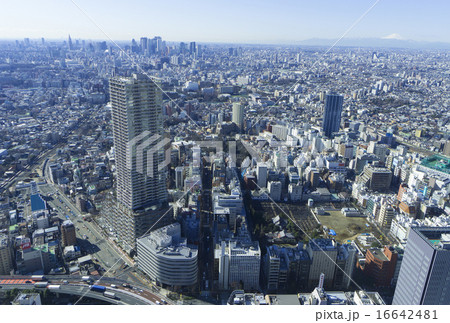 池袋高層ビルから望む富士山と東京都心の街並 新宿　渋谷方面 16642481