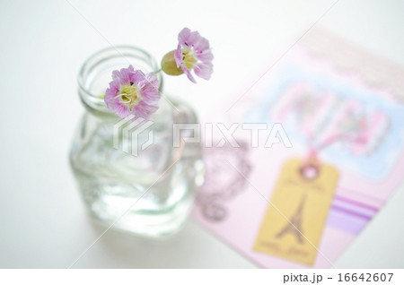 ガラス瓶に挿したシレネとコラージュカード ガラス瓶に挿したシレネとコラージュカード 16642607