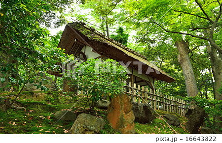 金沢散歩:兼六園 山崎山・御亭 金沢散歩:兼六園 山崎山・御亭 16643822
