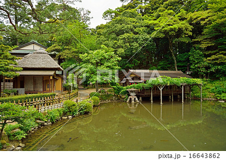 金沢散歩：兼六園　夕顔亭と瓢池 16643862