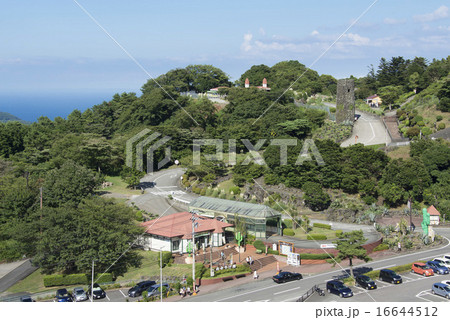 大室山から伊豆シャボテン公園を望む 16644512