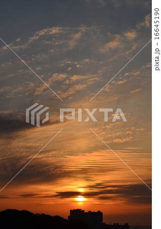夕日、夕陽、夕焼け 16645190
