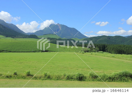 塚原高原と由布岳 塚原高原と由布岳 16646114