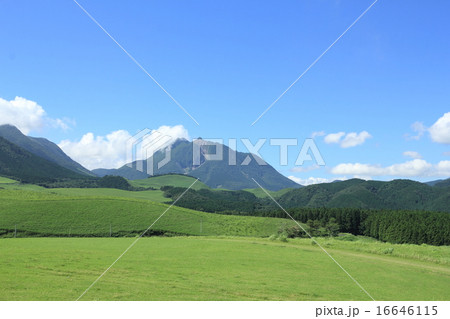 塚原高原と由布岳 16646115