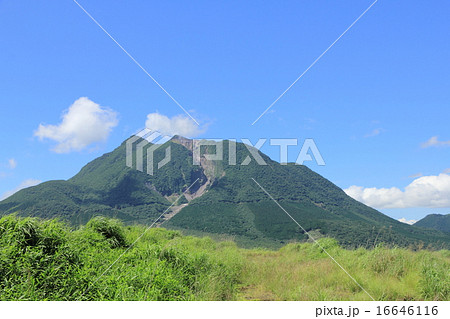 塚原高原と由布岳 16646116