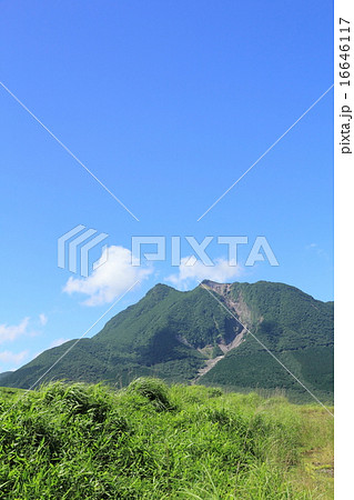 塚原高原と由布岳 16646117