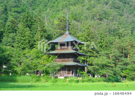 安久津八幡神社三重塔 安久津八幡神社三重塔 16646494