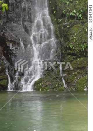 奈良県・蜻蛉の滝 16647641