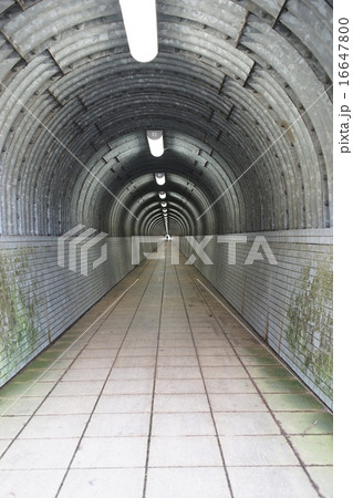 大原隧道　横浜市　トンネル 16647800