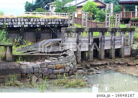 横島の石塘 横島の石塘 16648187