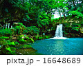 十戸の滝 16648689