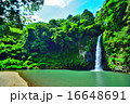 八反の滝 16648691