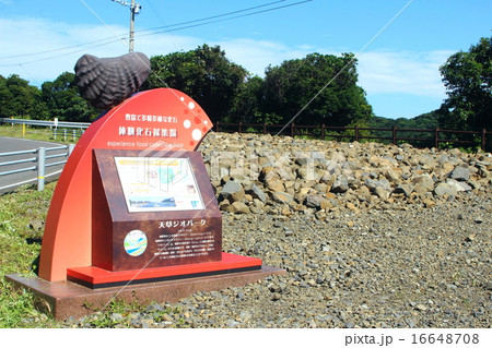 御所浦島 体験化石採集場 御所浦島 体験化石採集場 16648708