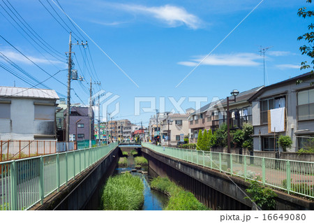 久我山駅付近の神田川 16649080