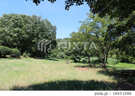 北山公園 北山公園 16651086