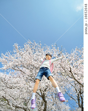 ジャンプする女の子(春、桜、ランドセル) ジャンプする女の子(春、桜、ランドセル) 16652648