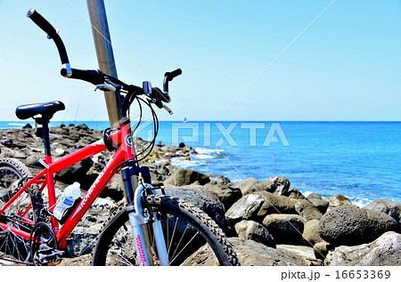 ハワイの休日 16653369