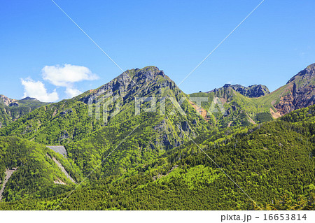 八ヶ岳の編笠山から望む阿弥陀岳 16653814