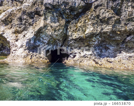 パンプキン鍾乳洞入り口 パンプキン鍾乳洞入り口 16653870