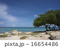 Caribbean sea Caribbean sea 16654486