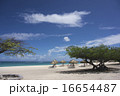 A Beach Resort in Aruba A Beach Resort in Aruba 16654487