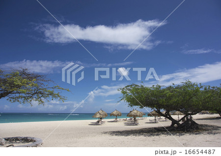 A Beach Resort in Aruba A Beach Resort in Aruba 16654487