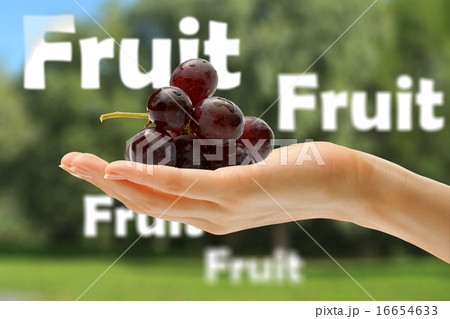 Female hand with black grape Female hand with black grape 16654633