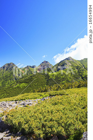 八ヶ岳の編笠山から望む　阿弥陀岳・赤岳・ギボシ 16654994