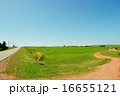 青空と草原 16655121