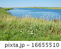 輝く湖水 16655510