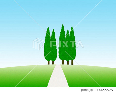 丘の上の糸杉 丘の上の糸杉 16655575