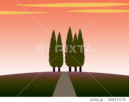 丘の上の糸杉 16655576