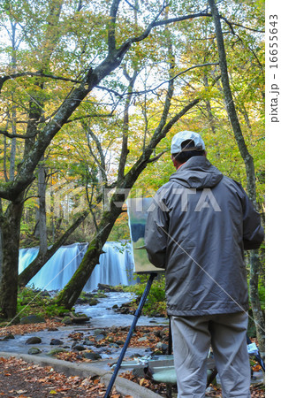 奥入瀬の紅葉 銚子大滝 絵描き 奥入瀬の紅葉 銚子大滝 絵描き 16655643